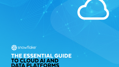 The Essential Guide to Cloud AI and Data Platforms