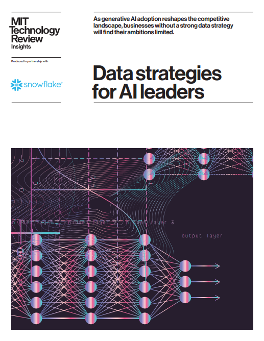 DATA STRATEGIES FOR AI LEADERS