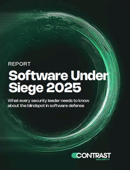 Software Under Siege 2025